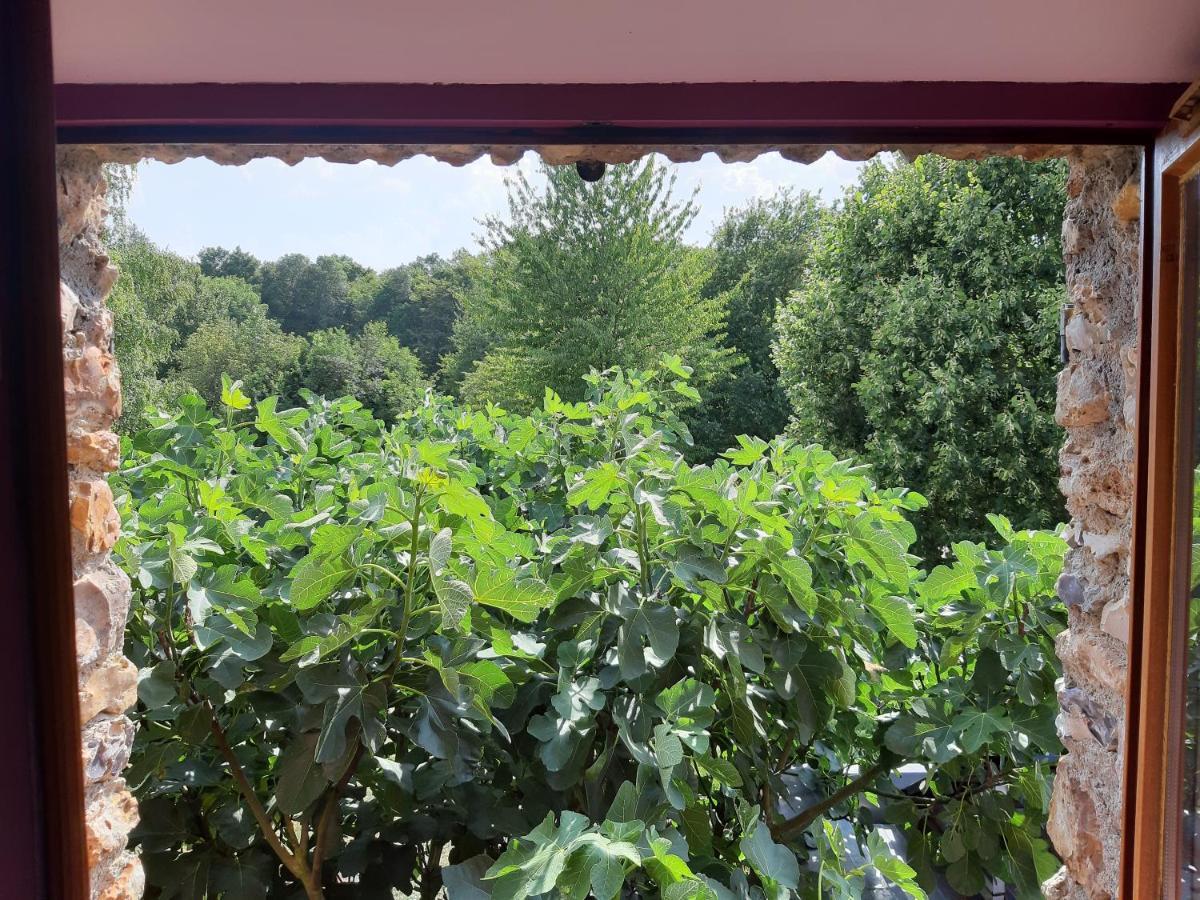 Bed and Breakfast La Grange Des Lisieres Rouvres  Zewnętrze zdjęcie